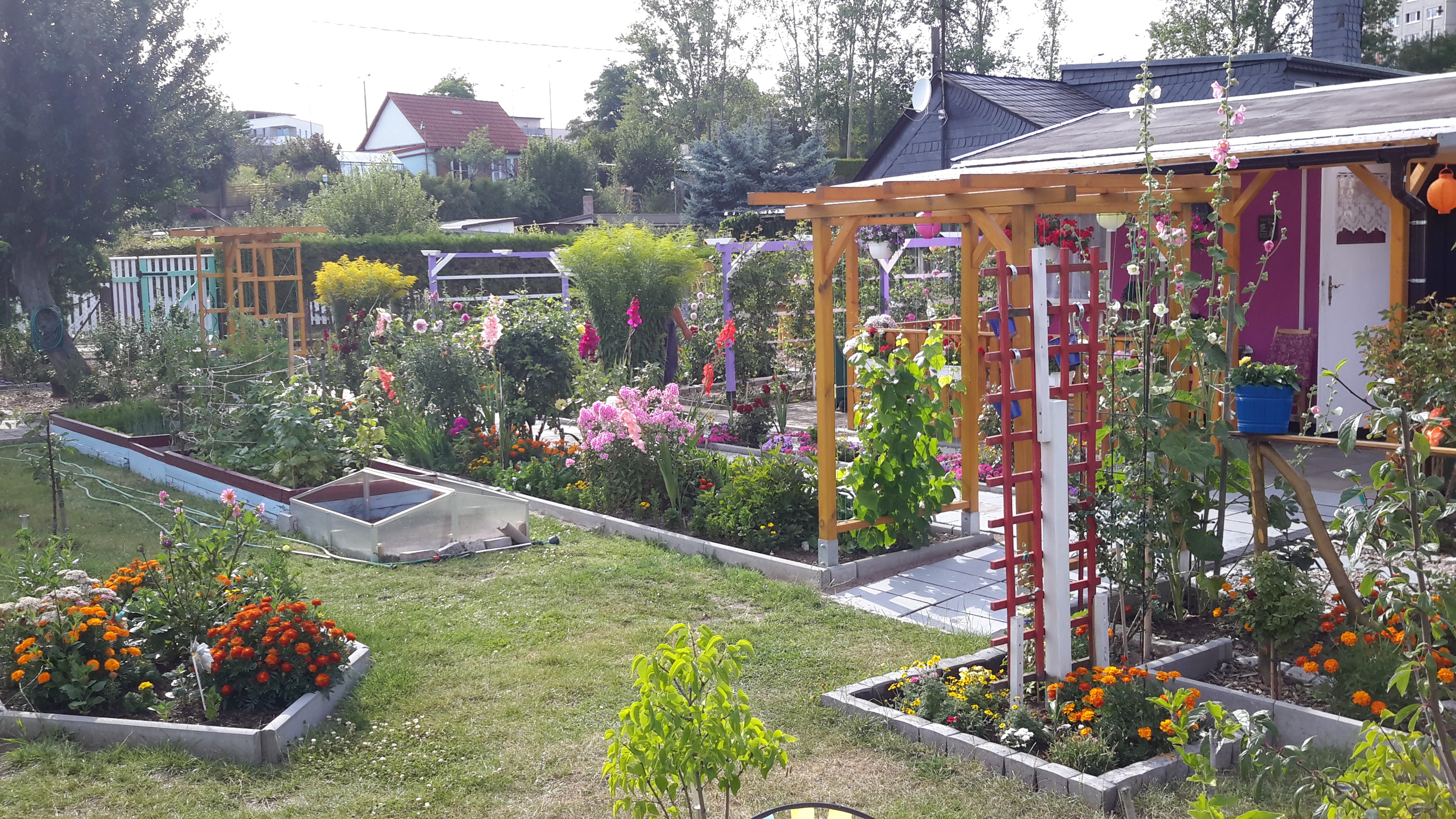 In Mamas Garten schmeckt der Kaffee ambesten.