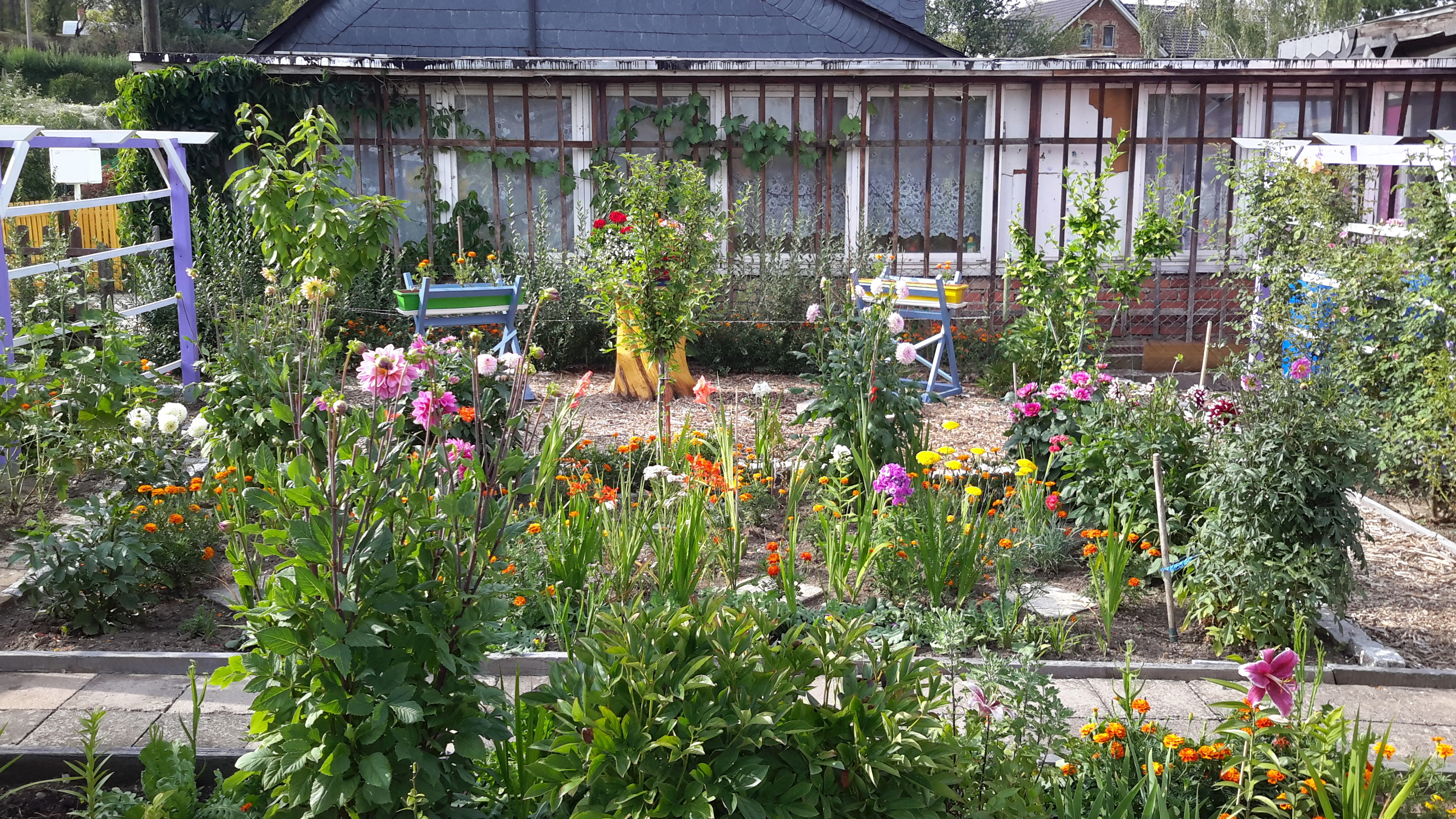 In Mamas Garten schmeckt der Kaffee ambesten.