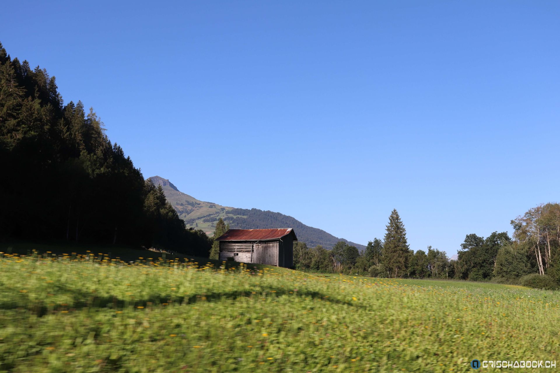 Erlebniszug Rheinschlucht & Oberalppass