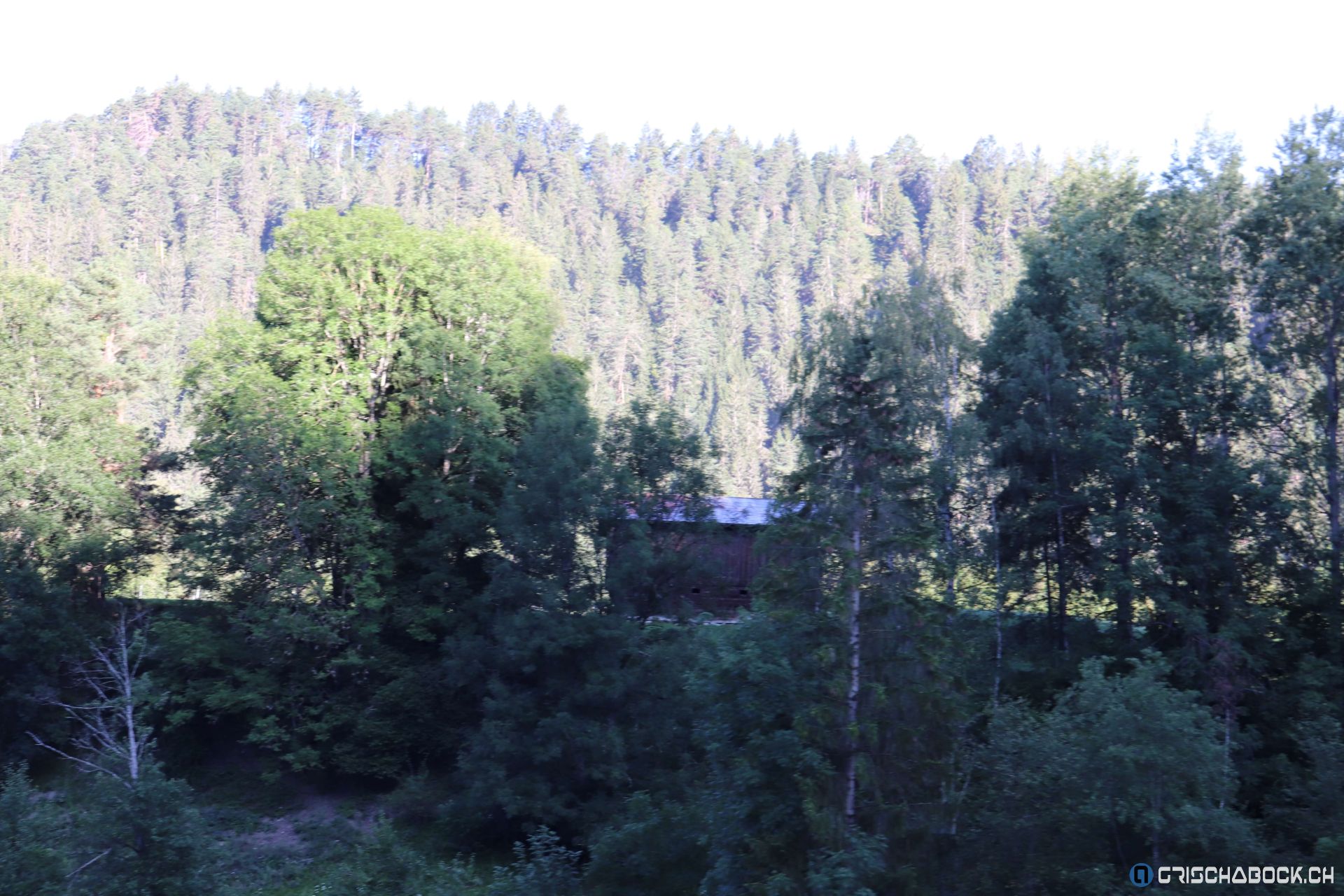 Erlebniszug Rheinschlucht & Oberalppass