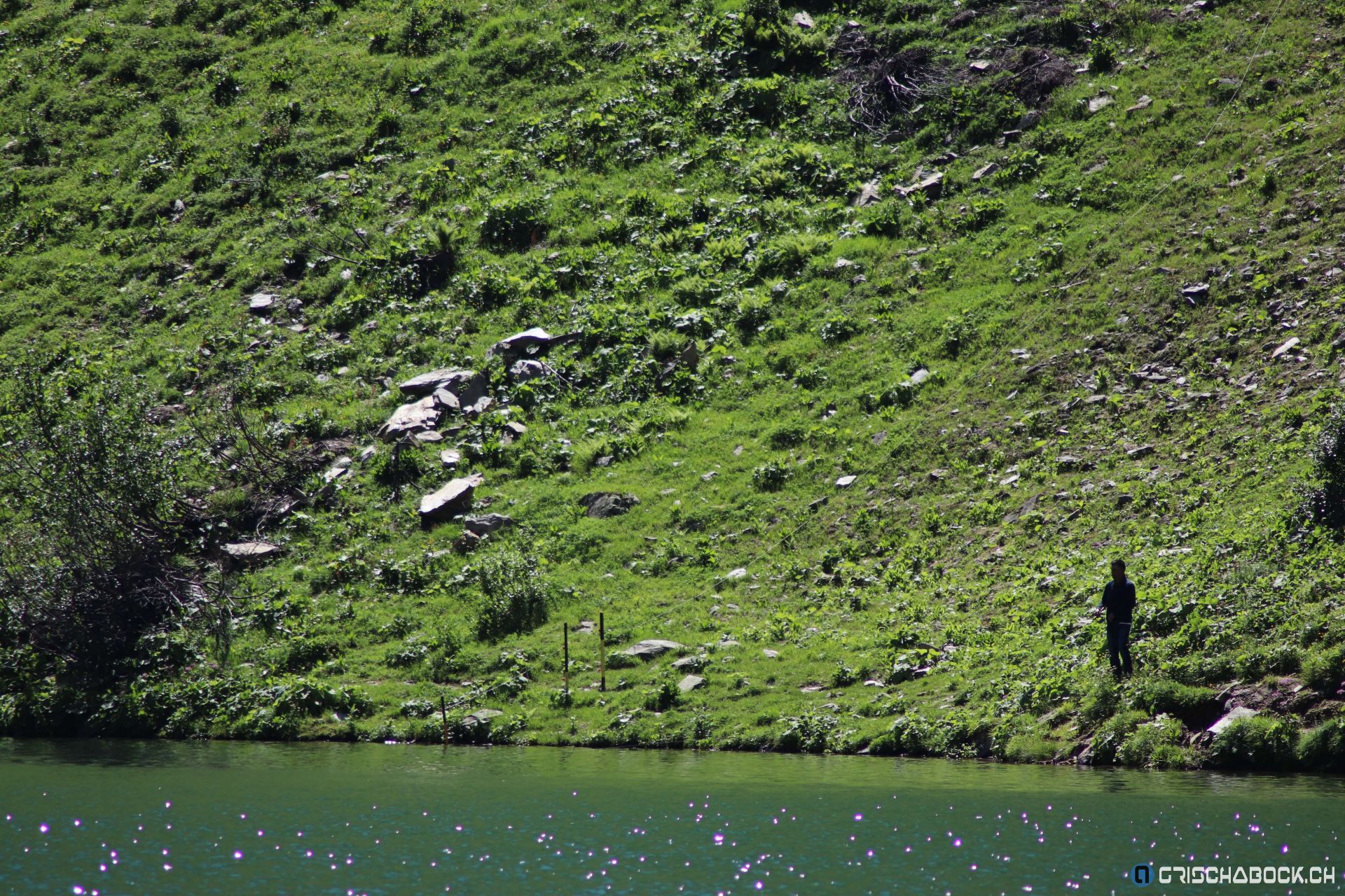 Erlebniszug Rheinschlucht & Oberalppass